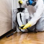 Woman exterminator in work wear spraying pesticide or insecticide with sprayer